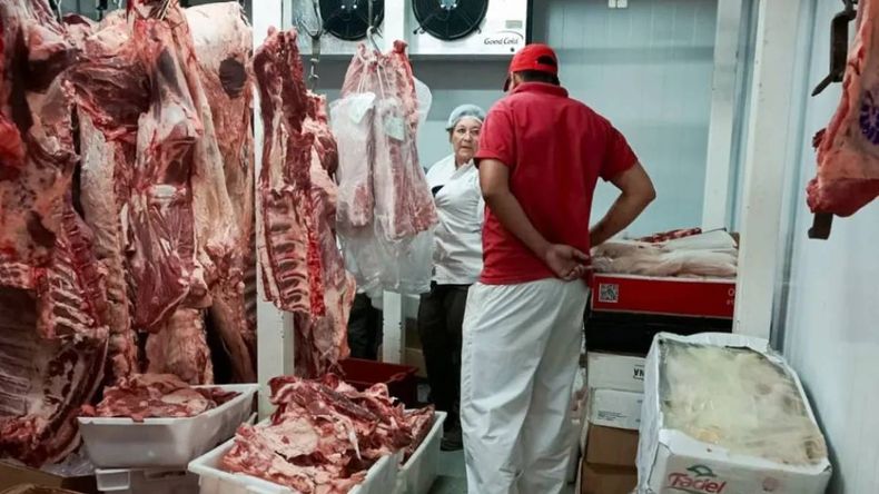 Decomisaron 650 kilos de carne en mal estado en carnicerías de Plottier
