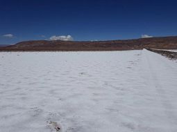 Pozuelos–Pastos Grandes es la nueva apuesta en litio de Ganfeng Lithium en Salta. Pozuelos–Pastos Grandes es la nueva apuesta en litio de Ganfeng Lithium en Salta.