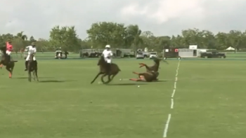 video: brutal caida de polista hijo de una trilliza de oro video: brutal caida de polista hijo de una trilliza de oro