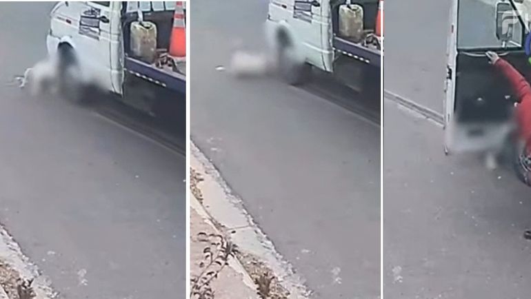 Despiadado: atropelló a un perro, lo miró como sufría para salir de abajo de las ruedas y luego lo abandonó
