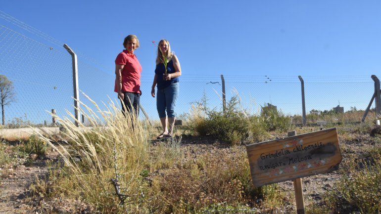 Amigos de la Jardinería