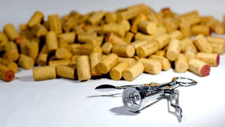 El corcho en la heladera ahorra energía. El corcho en la heladera ahorra energía.