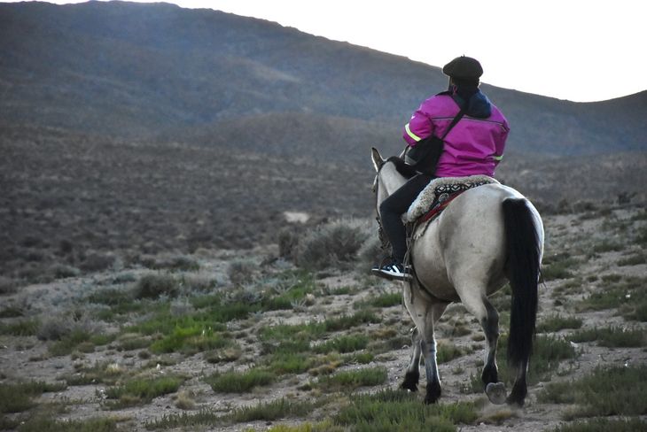 Desierto y sacrificio: La caza del puma exige jornadas extenuantes en territorios donde el viento y la falta de agua castigan a hombres y animales. Foto: Fabricio González. Desierto y sacrificio: La caza del puma exige jornadas extenuantes en territorios donde el viento y la falta de agua castigan a hombres y animales. Foto: Fabricio González.