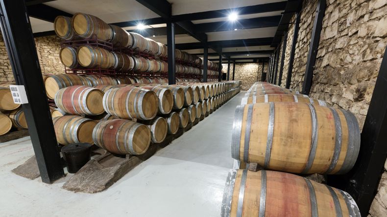 Bodegas del Alto Valle en Río Negro: 44.237 hl totales resaltan el énfasis en Merlot y Semillón, con fuerte presencia de terceros en genéricos. | LM Neuquen Bodegas del Alto Valle en Río Negro: 44.237 hl totales resaltan el énfasis en Merlot y Semillón, con fuerte presencia de terceros en genéricos.