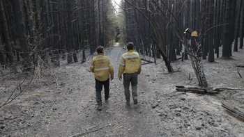 Río Negro, Neuquén y Chubut crean un Comando Unificado para combatir el fuego. Foto: prensa de Río Negro. Río Negro, Neuquén y Chubut crean un Comando Unificado para combatir el fuego. Foto: prensa de Río Negro.
