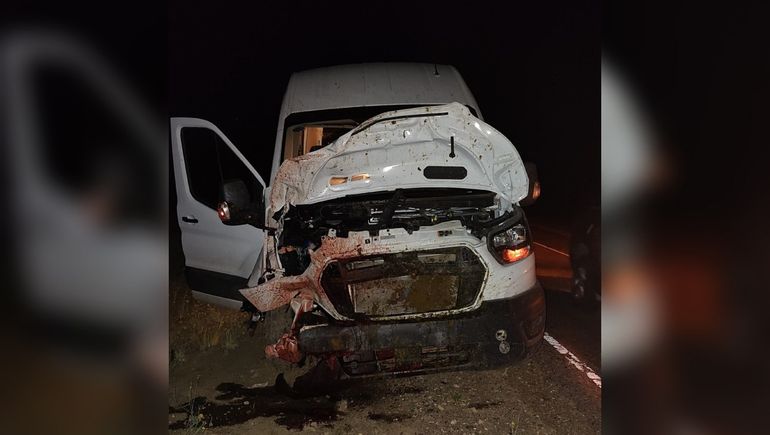 Gentileza Lácar Digital. Gentileza Lácar Digital.