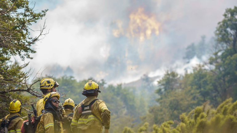 El incendio en el Parque Nacional Lanín ya consumió 15 mil hectáreas / Foto Parques