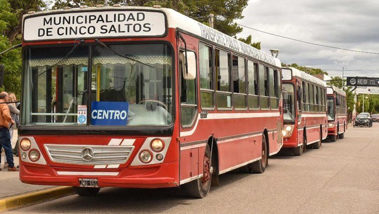 Cinco Saltos cambiará el recorrido del transporte público los días que juegue Argentina