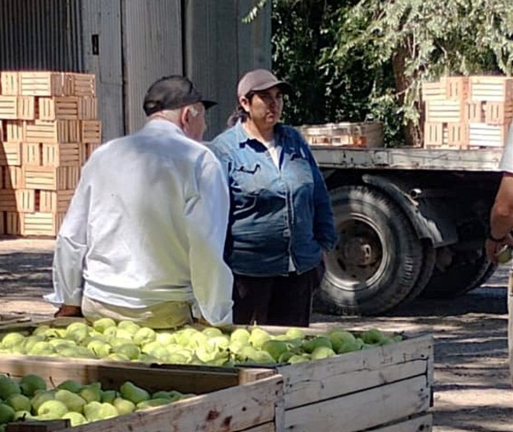 Pasión por el Valle Medio: Yanina recorre en moto las tres chacras que administra. Pasión por el Valle Medio: Yanina recorre en moto las tres chacras que administra.