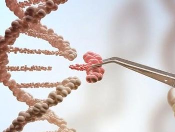 La nueva normativa crea dos categorías de cultivos editados genéticamente, reduce los controles para algunos de ellos y reabre el debate sobre innovación, seguridad alimentaria y trazabilidad. La nueva normativa crea dos categorías de cultivos editados genéticamente, reduce los controles para algunos de ellos y reabre el debate sobre innovación, seguridad alimentaria y trazabilidad.