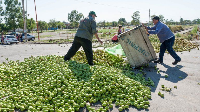 Los productores tiraron la pera en las vías del tren. Los vecinos se la llevaron.&nbsp;