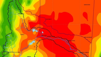¡39,1°c en neuquen! la ola de calor pega de lleno en la provincia ¡39,1°c en neuquen! la ola de calor pega de lleno en la provincia
