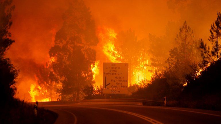 Al menos 62 muertos en un incendio forestal en el centro de Portugal