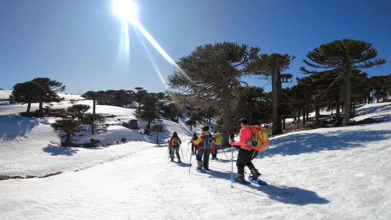 Primeros Pinos: un atractivo destino turístico que se renueva en cada invierno