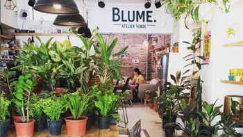 blume: cafe y plantas en el centro neuquino blume: cafe y plantas en el centro neuquino