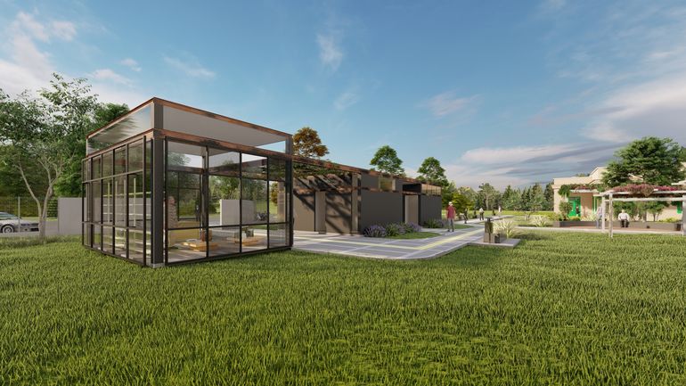 Sector servicios. Sector servicios.