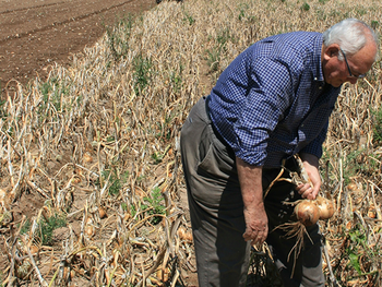 El organismo confirmó un aumento del 2,08% en las prestaciones y actualizó los topes de aportes.