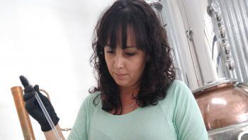 destileria neuquina de gin dona alcohol para elaborar gel destileria neuquina de gin dona alcohol para elaborar gel