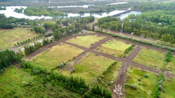 La chacra de 20 hectáreas en el ingreso a la provincia de Neuquen propiedad de la Cooperativa Campesina. La chacra de 20 hectáreas en el ingreso a la provincia de Neuquen propiedad de la Cooperativa Campesina.