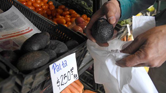 La escalada del dólar disparó el precio de la palta
