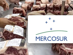 ¿Cuán cara está la carne en la Argentina? ¿Cuán cara está la carne en la Argentina?