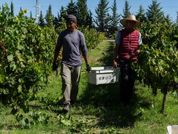 Desde el punto de vista climático, el año 2025 tuvo tres cosechas. Desde el punto de vista climático, el año 2025 tuvo tres cosechas.