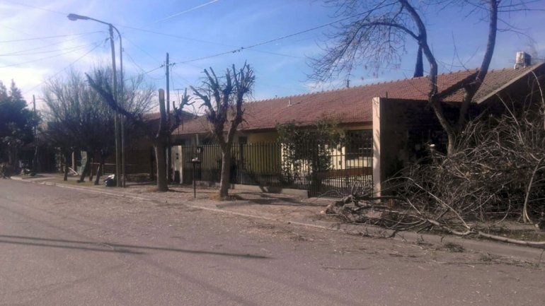 El servicio de poda lo realiza el Municipio en forma gratuita.