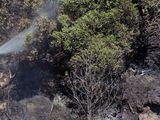 Un incendio forestal puso en peligro algunas viviendas en San Martín de los Andes