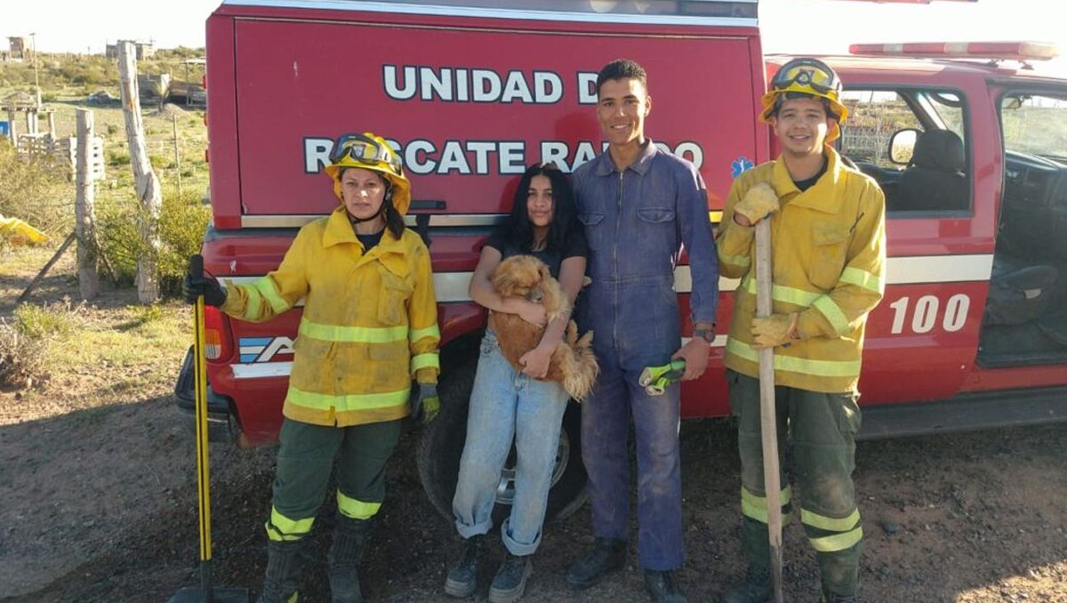 Bomberos rescataron a un perro atrapado en una cueva bajo tierra