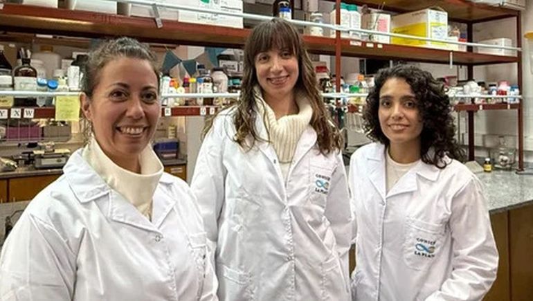 Científicas argentinas crearon un vendaje que cura heridas más rápido