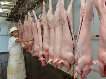 Con más producción y mayor eficiencia, el cerdo gana protagonismo en la dieta argentina.