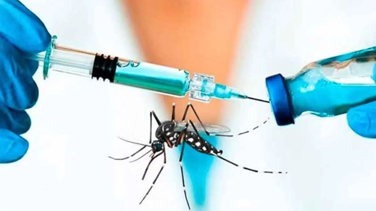 La vacuna contra el dengue no ingresará al Calendario Nacional de Vacunación según el Gobierno.