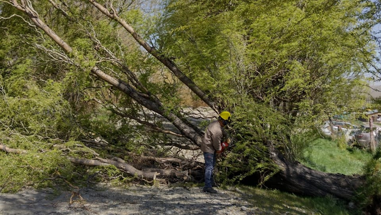 El viento provocó voladuras de techos y caída de árboles en Junín de los Andes