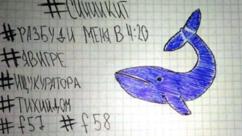 Tras el caso en Cipolletti, Neuquén está alerta por el macabro juego de la Ballena Azul