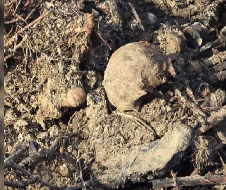 Las primeras diligencias apuntan a establecer si se puede separar ADN los restos humanos hallados para identificarlos.   