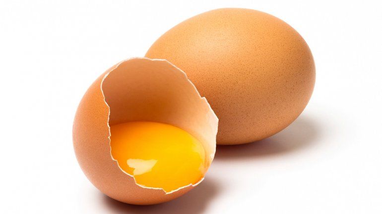 La yema concentra la mayor cantidad de proteína
