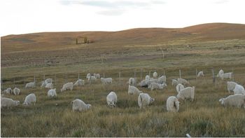 asistencia directa a comunidades mapuches para afrontar la sequia asistencia directa a comunidades mapuches para afrontar la sequia