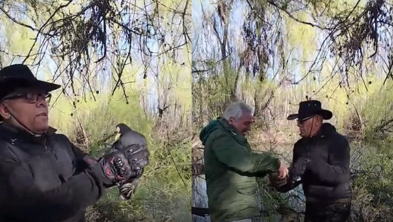 El animal fue rescatado y devuelto a su espacio natural.&nbsp;