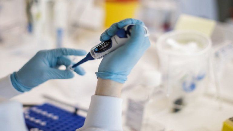 Con buen ritmo va la elaboración de la vacuna argentina contra el coronavirus.