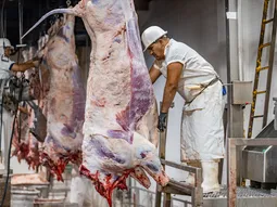El establecimiento cerró de forma definitiva y responsabilizó al ingreso de carne del exterior “sin control”. Más de un centenar de empleados quedaron sin trabajo. El establecimiento cerró de forma definitiva y responsabilizó al ingreso de carne del exterior “sin control”. Más de un centenar de empleados quedaron sin trabajo.