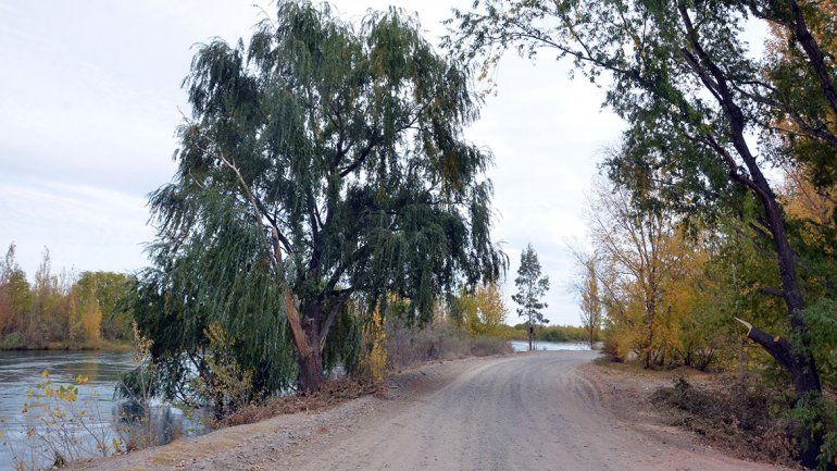 Quieren recordar al ARA San Juan en calles de Neuquén