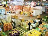 Mangos, paltas y ananás llegan a las góndolas mayoristas con valores similares a los de las peras y manzanas patagónicas, modificando el escenario comercial del sector. Mangos, paltas y ananás llegan a las góndolas mayoristas con valores similares a los de las peras y manzanas patagónicas, modificando el escenario comercial del sector.