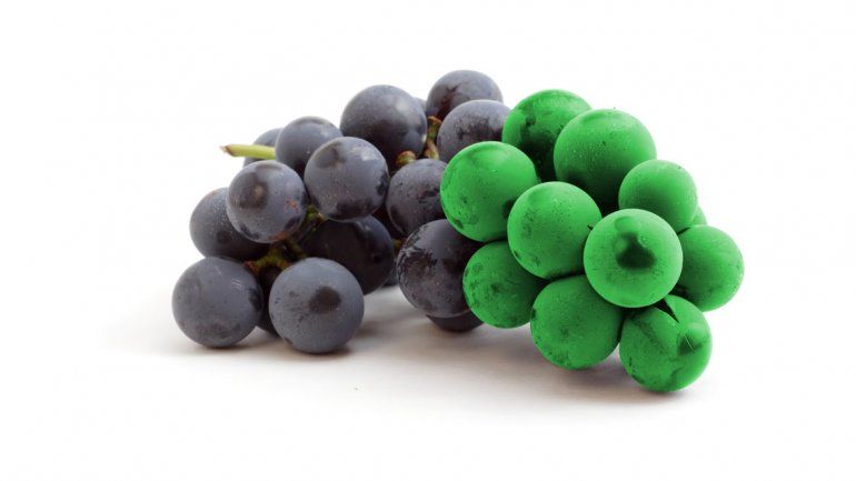 Cada vez más bodegas emplean estos términos para diferenciar sus vinos. ¿Qué son y a qué aplican?