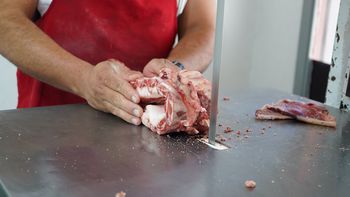 se levanta la barrera sanitaria y llegara la carne con hueso a la patagonia se levanta la barrera sanitaria y llegara la carne con hueso a la patagonia