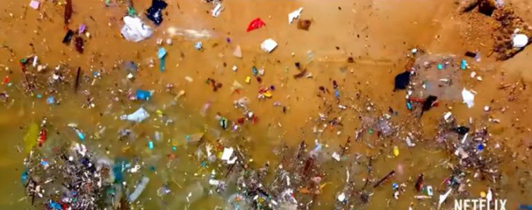 Netflix: el documental por el que la gente no quiere comer más pescado