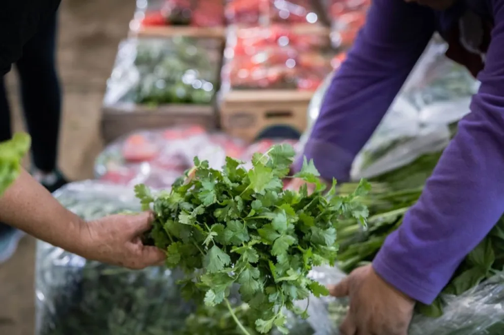 "Ofrecemos precios y calidad inigualables", dice el presidente del MCN. Foto: prensa gobierno de Neuquén "Ofrecemos precios y calidad inigualables", dice el presidente del MCN. Foto: prensa gobierno de Neuquén