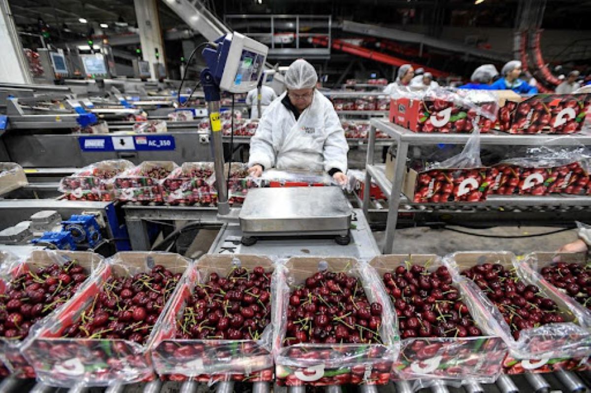Las cerezas chilenas llegaron al mercado interno argentino con precios altamente compretitivos.