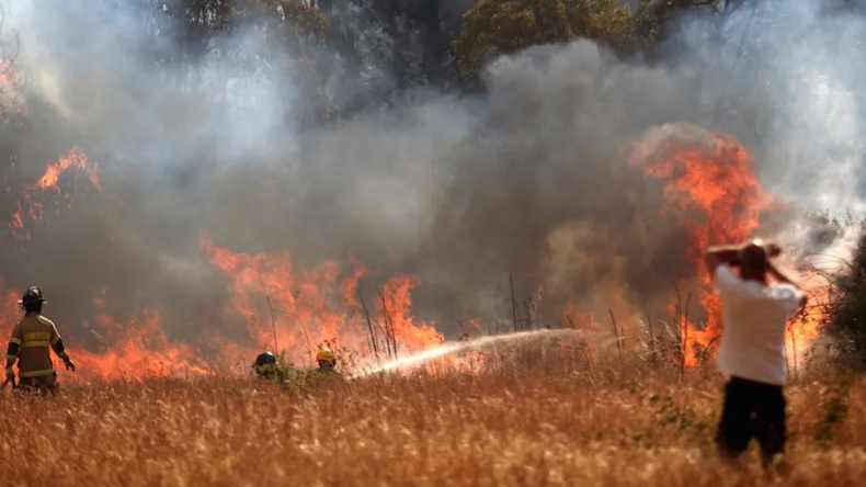 El plan de manejo del fuego apunta a contener los incendios forestales. recrudecen con las altas temperaturas.