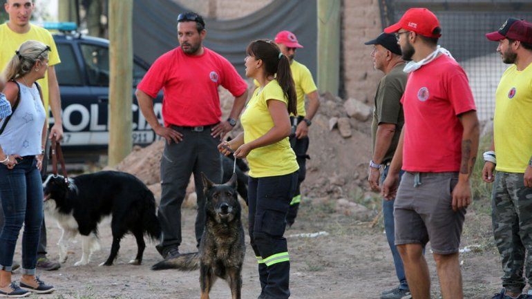 Recompensa para la perra que halló los cuerpos