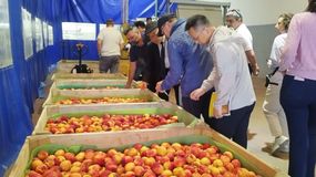 Una auditoría sanitaria de China avanza sobre la habilitación de duraznos, ciruelas y otras frutas argentinas. | LM Neuquen Una auditoría sanitaria de China avanza sobre la habilitación de duraznos, ciruelas y otras frutas argentinas.